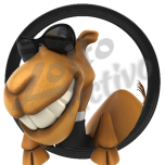Camello