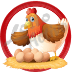 Gallina